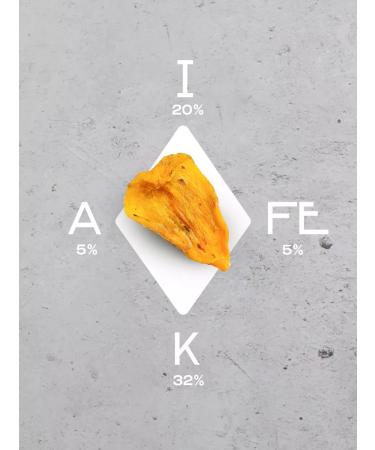 DOUBLE CRUNCH Personomers dried chocolate without sugar 500 g - Buy Online on GoSupps.com