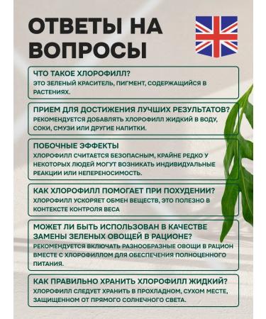 Biotell Chlorophyll liquid for weight loss and detox (ion) - Buy Online on GoSupps.com