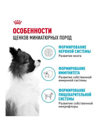 ROYAL CANIN X-Small Puppy for mini-rock puppies 3 kg - Buy Online on GoSupps.com