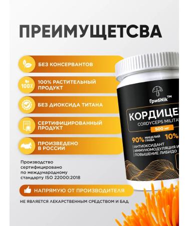MushroomNik Cordyceps for endurance 60 capsules of 500 mg - Buy Online on GoSupps.com