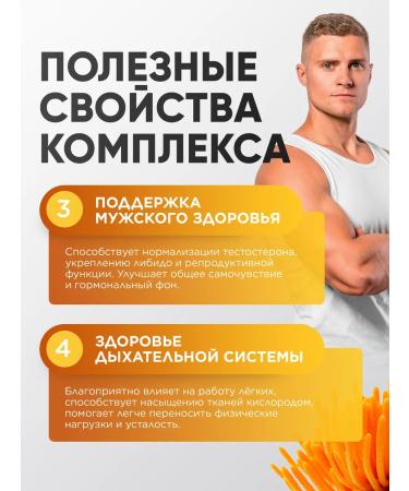 MushroomNik Cordyceps for endurance 90 capsules of 500 mg - Buy Online on GoSupps.com