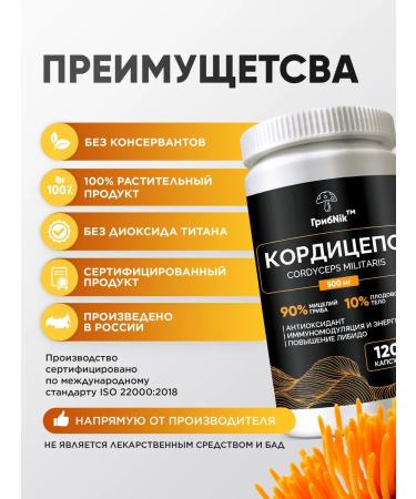 MushroomNik Cordyceps for endurance 120 capsules of 500 mg - Buy Online on GoSupps.com