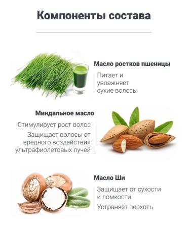 Morgan's Since 1873 Lipstick for laying Almond Oil Shea 100 g - Buy Online on GoSupps.com