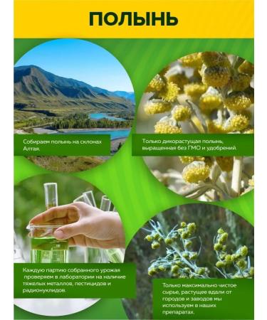 Alvitta Wormwood Gorky grass dried extract in capsules 45pcs - Buy Online on GoSupps.com