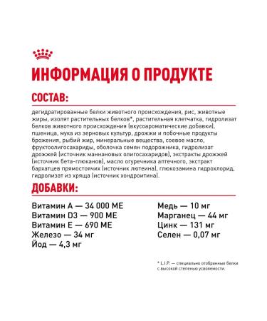 ROYAL CANIN Main Coon Kitten for kittens of breed Maine Kun 2 kg - Buy Online on GoSupps.com