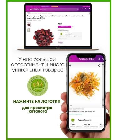 Native herbs Zolotarnik ordinary grass (gold rod) - Buy Online on GoSupps.com