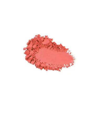 KIKO Milano Persistent powder blush with adjustable intensity of 02 - Buy Online on GoSupps.com