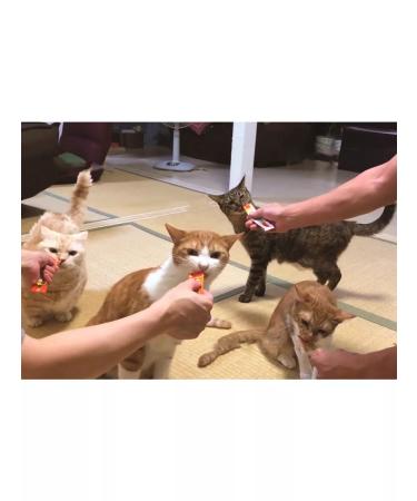 Inaba Made of puree for cats Kalmar chicken fillet 56 g - Buy Online on GoSupps.com