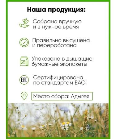 Native herbs Chicory grass is dried - Buy Online on GoSupps.com