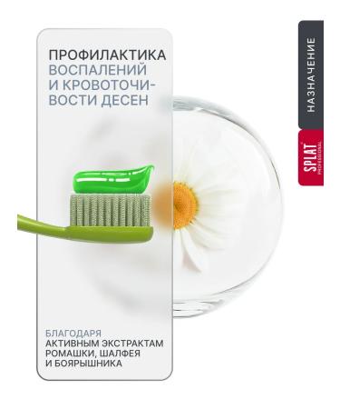 SPLAT Ultracomplex toothpaste and therapeutic herbs 100 ml 2pcs - Buy Online on GoSupps.com