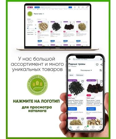 Native herbs Rosehip dried fruits mountain berries - Buy Online on GoSupps.com