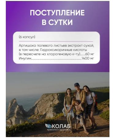 ECOlab Ecofitol Inulin to improve liver function gastrointestinal tract - Buy Online on GoSupps.com