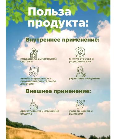 Native herbs Eucalyptus leaves dried tea - Buy Online on GoSupps.com