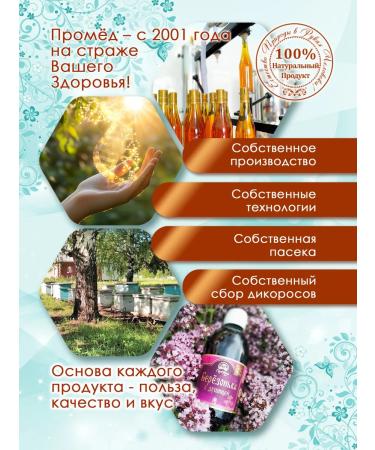 Promyod Water infusion of chaga "birch with mint" 300 ml - Buy Online on GoSupps.com