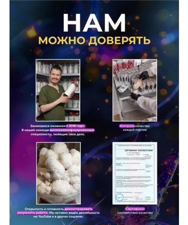 Zverev Mushroom Empire Mycelium trametes multi -colored Trametes Versicolor 1000g - Buy Online on GoSupps.com