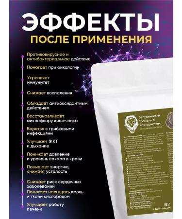 Zverev Mushroom Empire Mycelium trametes multi -colored Trametes Versicolor 1000g - Buy Online on GoSupps.com