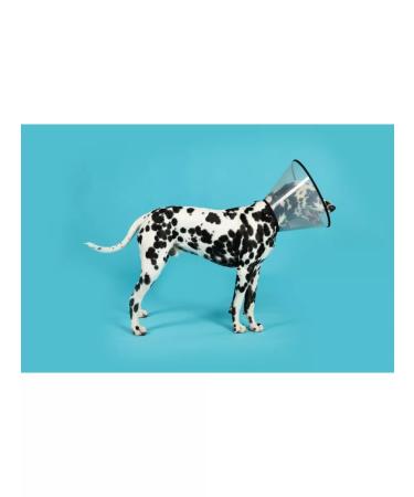 AniMall Protective collar for dogs and cats No. 20 cm on Velcro - Buy Online on GoSupps.com