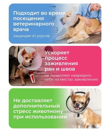 AniMall Protective collar for dogs and cats No. 10 cm on Velcro - Buy Online on GoSupps.com