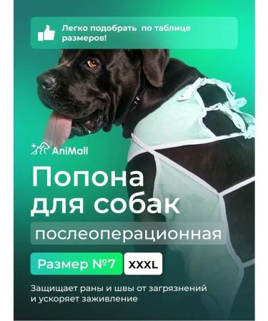 AniMall Popon for dogs postoperative No. 7