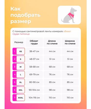 AniMall Popon for dogs postoperative No. 7 - Buy Online on GoSupps.com