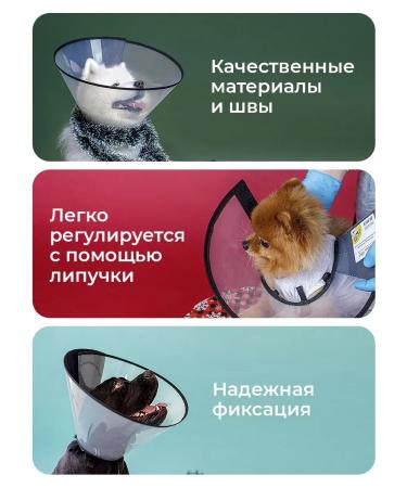 AniMall Protective collar for dogs and cats No. 35 cm on Velcro - Buy Online on GoSupps.com