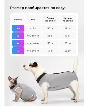 AniMall Popon postoperative on strong Velcro s from 2 to 4 kg - Buy Online on GoSupps.com