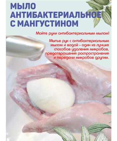 TWIN LOTUS Antibacterial soap set with mangustine 4 pcs - Buy Online on GoSupps.com