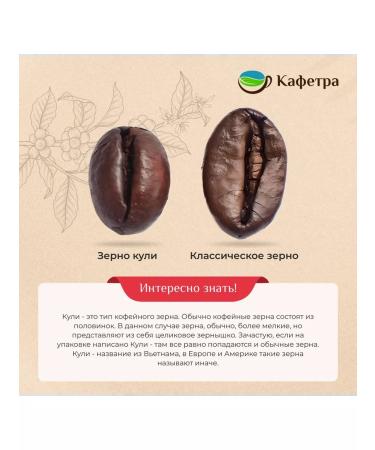 TRUNG NGUYEN Vietnamese coffee in Kulia Robusta Culi - 1000g - Buy Online on GoSupps.com