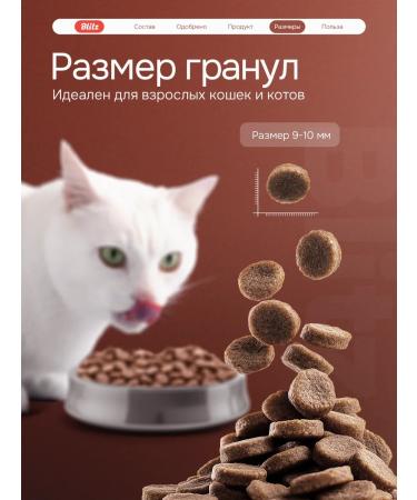 BLITZ Dry cat food with beef 0.4 kg - Buy Online on GoSupps.com