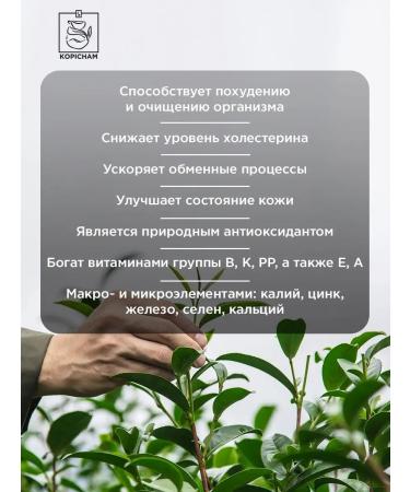 KOPICHAMS Lun strawberry green Chinese large -leaf tea 200 g - Buy Online on GoSupps.com