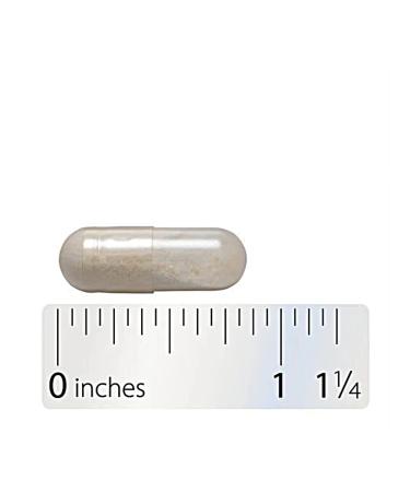 Nature's Way Testers for intestines 90 capsules - Buy Online on GoSupps.com