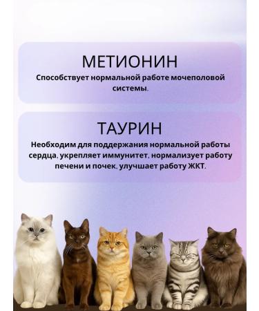 Good Cat Multivitamin treat for steril. Cos 90 table - Buy Online on GoSupps.com