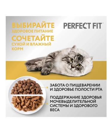 PERFECT FIT Dry Sensitive food for sensitive cats of a turkey 1.2 kg - Buy Online on GoSupps.com