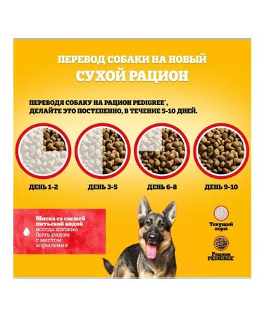 PEDIGREE Dry food for dogs of large beef 13 kg - Buy Online on GoSupps.com