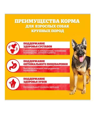 PEDIGREE Dry food for dogs of large beef 13 kg - Buy Online on GoSupps.com