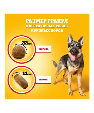 PEDIGREE Dry food for dogs of large beef 13 kg - Buy Online on GoSupps.com