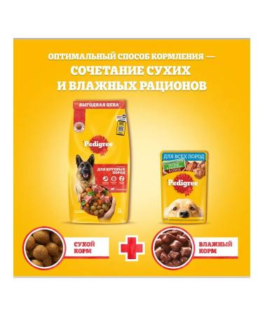 PEDIGREE Dry food for dogs of large beef 13 kg - Buy Online on GoSupps.com