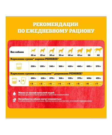 PEDIGREE Dry food for dogs of large beef 13 kg - Buy Online on GoSupps.com