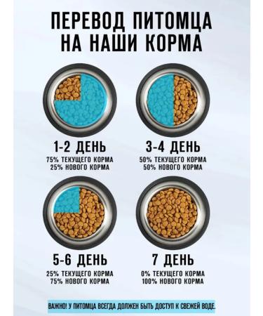 Oscar Dry food for cats turkey 10 kg - Buy Online on GoSupps.com