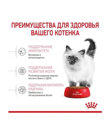 ROYAL CANIN Kitten dry food for kittens 4 kg - Buy Online on GoSupps.com