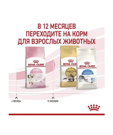 ROYAL CANIN Kitten dry food for kittens 4 kg - Buy Online on GoSupps.com