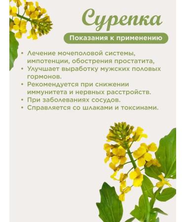 Biogra rapeseed herb - Buy Online on GoSupps.com