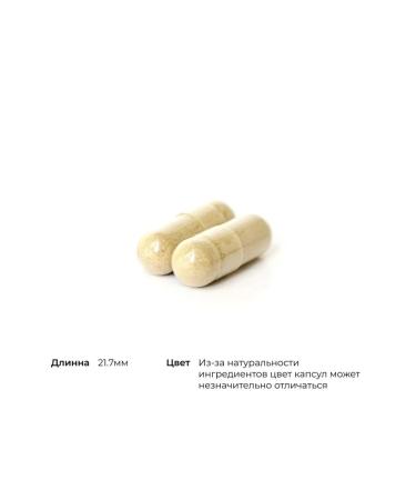 Thorne Research Phytos Quercetin 250 mg Quercetin Phytosome 60 capsules - Buy Online on GoSupps.com