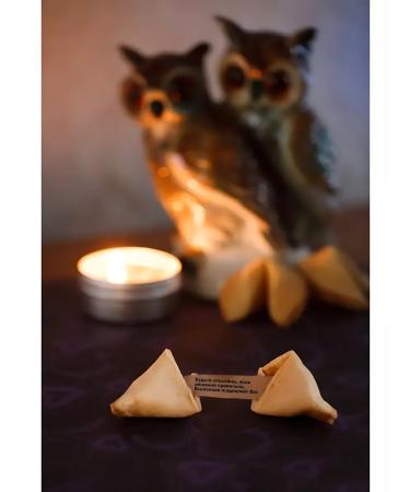 Factory of Desires Cookies with predictions 50 pieces wise tips - Buy Online on GoSupps.com