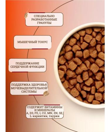 ROYAL CANIN Dry food for British cats 400 g - Buy Online on GoSupps.com