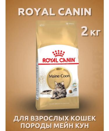 Royal Canin Main Coon Feed for cats by Main Kun 2 kg