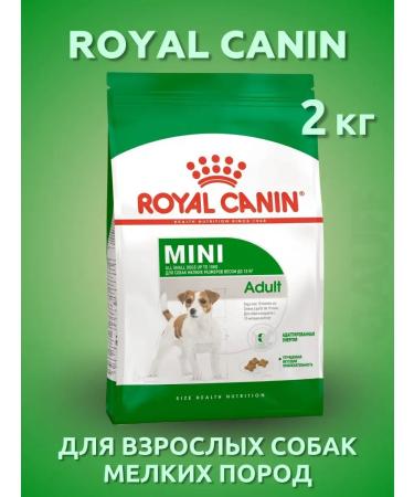 ROYAL CANIN Mini adult for adult dogs of small species 2 kg