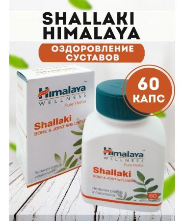 Honey and Jam Boswellion Home Healing Shallaki Himalaya 60 Table