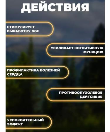 Honey and Jam Camphor mushroom (Anthrodia) 60 caps. 65 mg. pl. jar - Buy Online on GoSupps.com