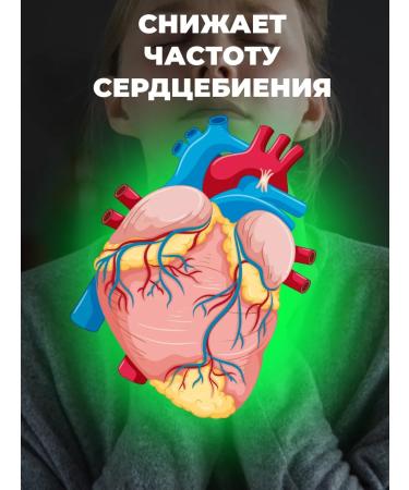 Honey and Jam Zyuznik European grass 3 packages - Buy Online on GoSupps.com